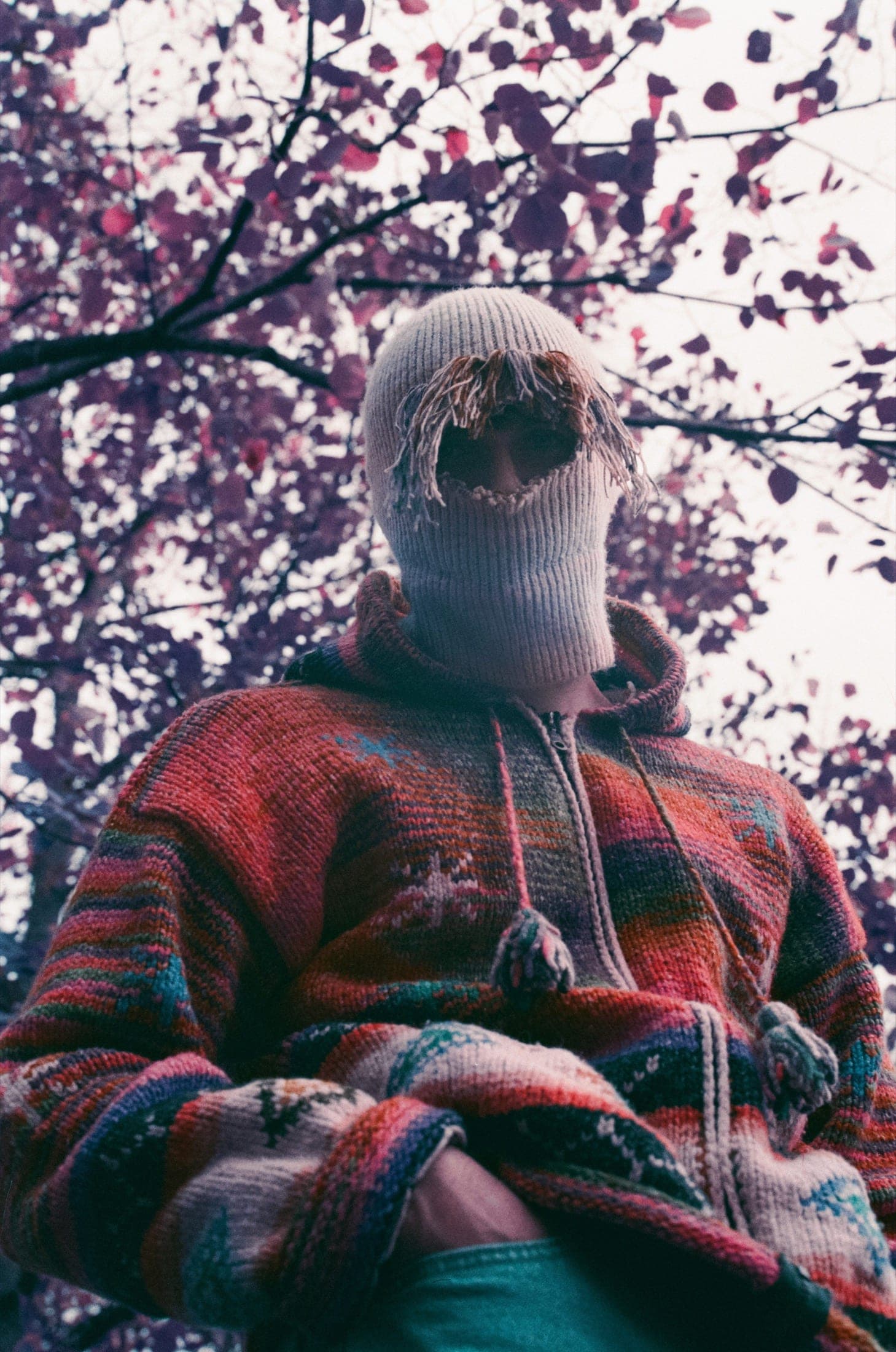 Contre-plongée sur une cagoule de laine écrue aux bords effilochés et un pull rayé multicolore, sous un feuillage magenta.