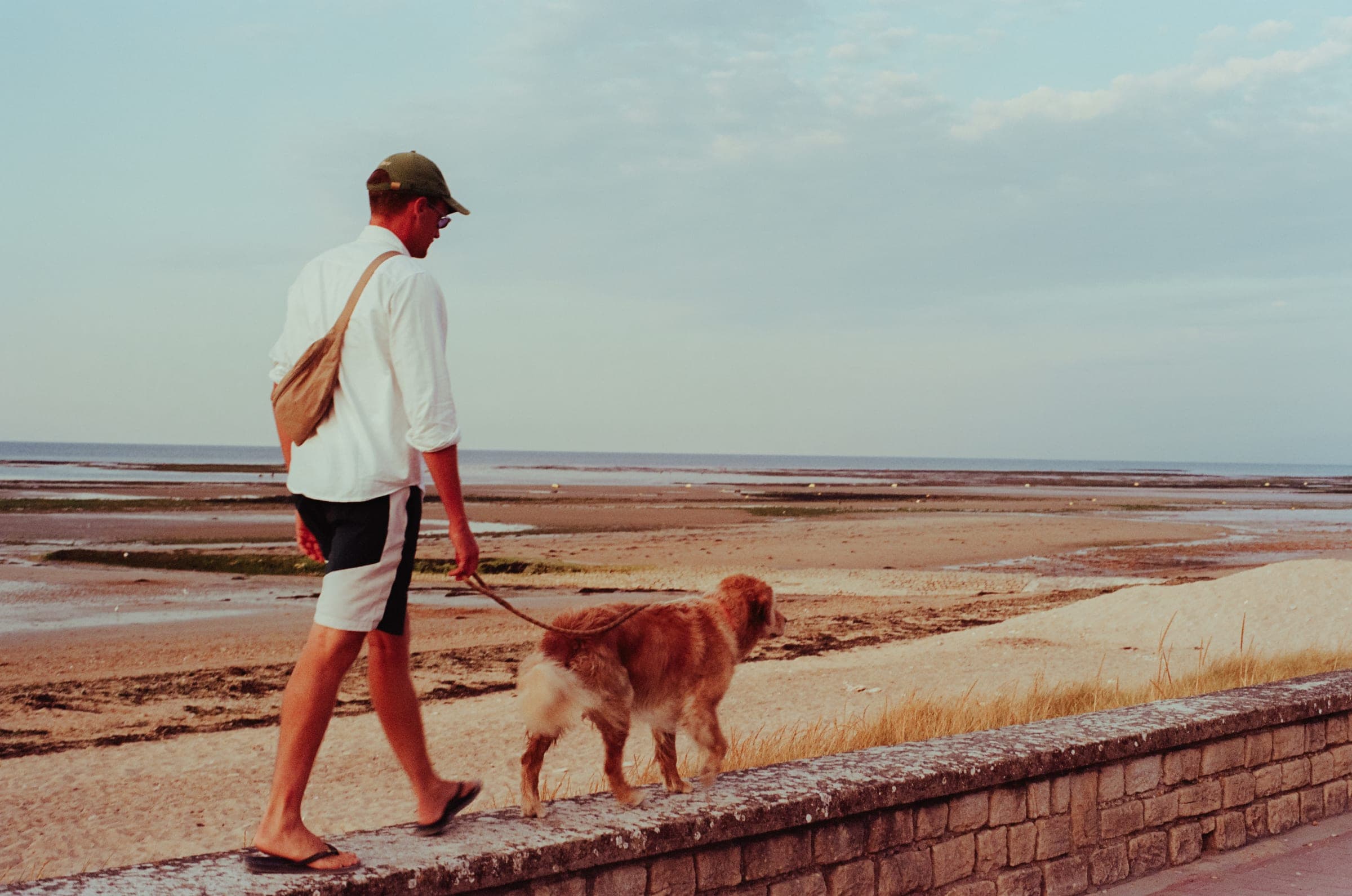 Un homme promène son golden retriever le long de la digue.
