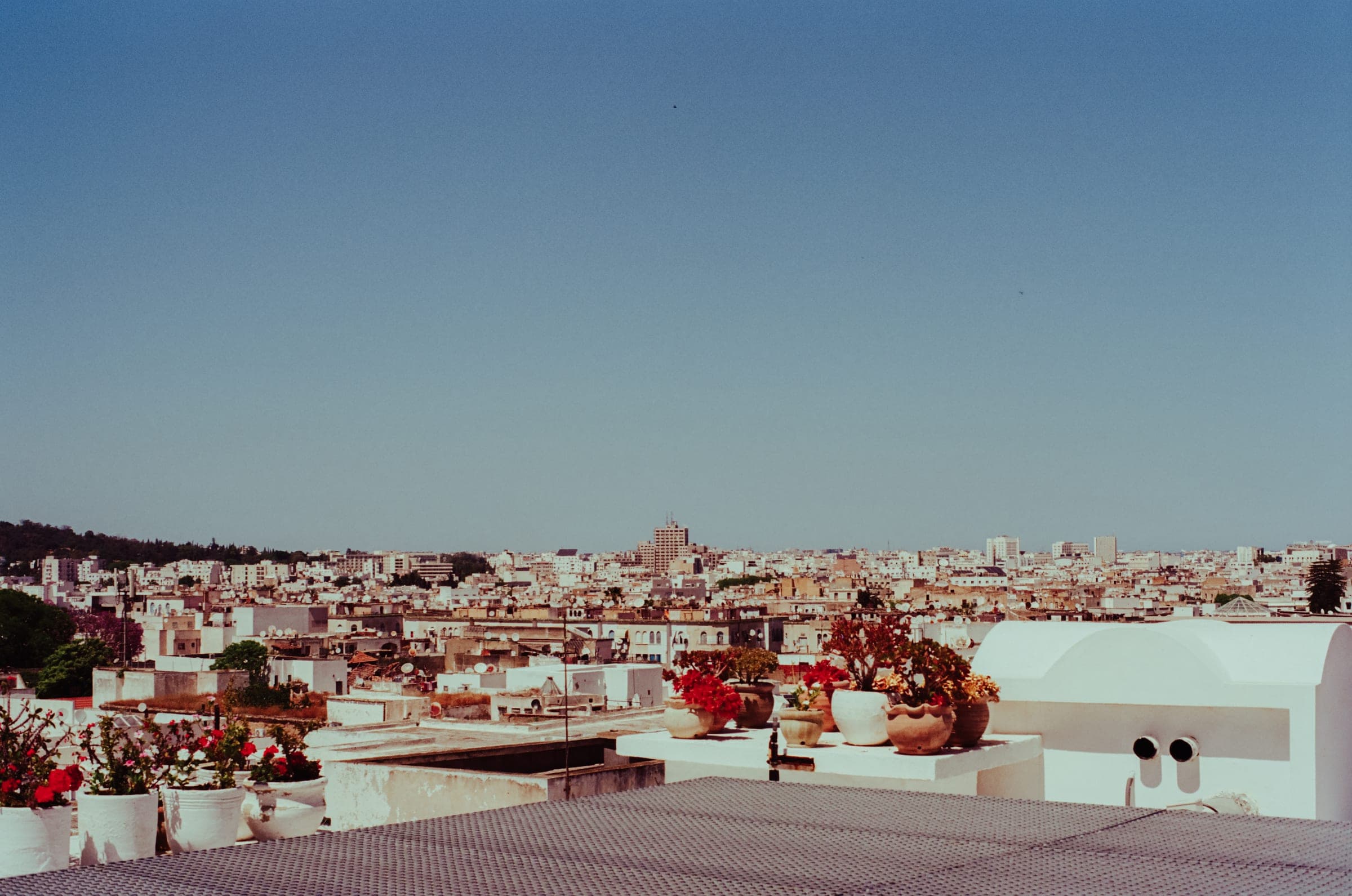 Panorama des toits blancs de la ville, pots de fleurs au premier plan.