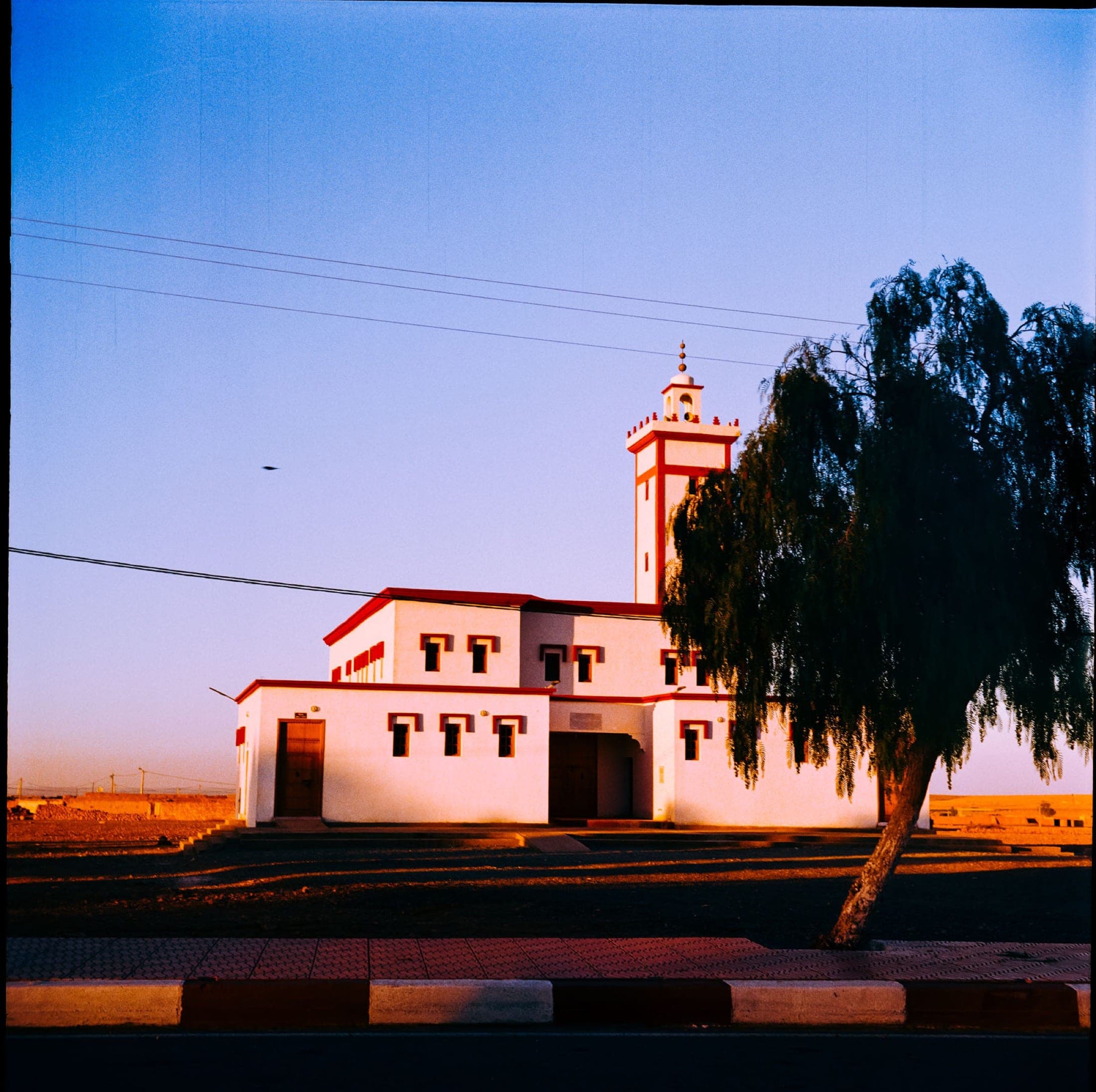 Mosquée blanche à liserés rouges et son minaret, éclairée par le soleil rasant, un poivrier au premier plan.
