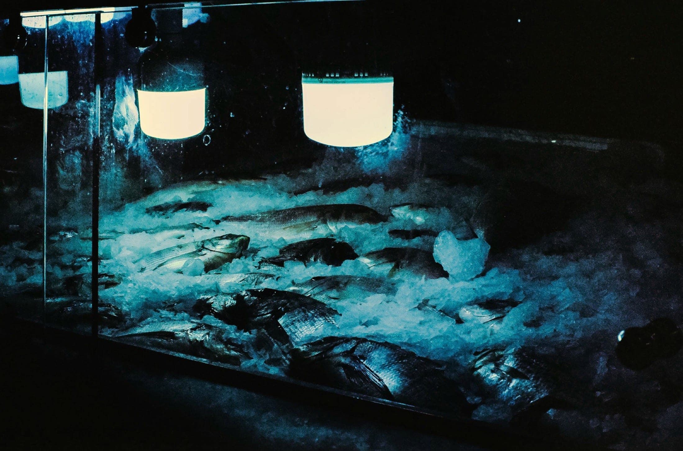 Étal de poissons sur glace sous des lampes suspendues, la nuit, dominante bleu-vert.